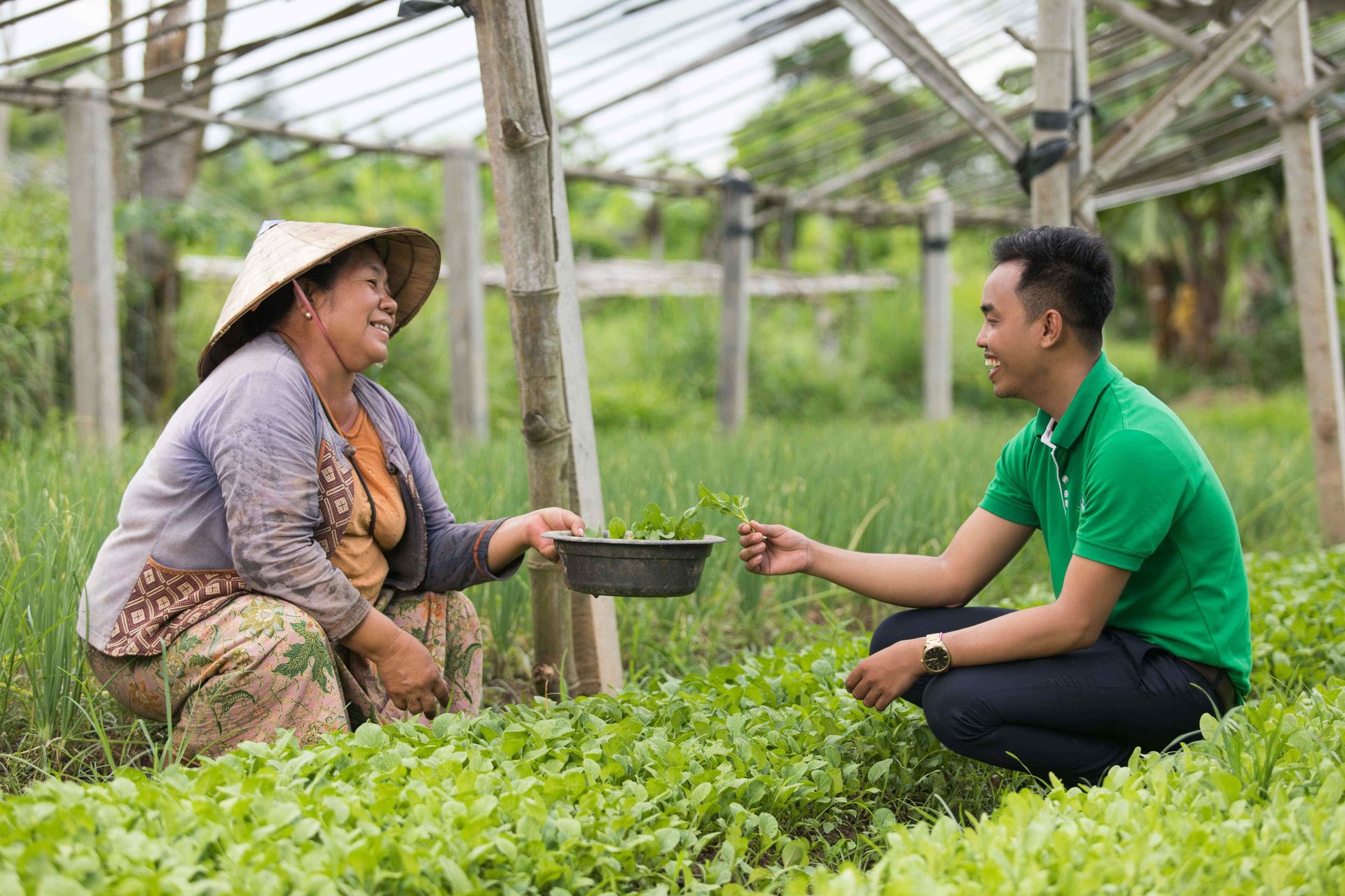 Home | Ekphathana Microfinance Institution